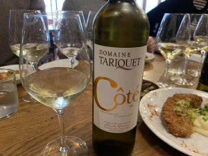 生産者が語る！　うっかりミスが生んだ奇跡のワイン「タリケ コーテ」とは