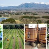Nasu 661 WINE HILLS「ワイン＝ブドウ」を超えて 那須御用邸の麓、ブルーベリーと里山の丘