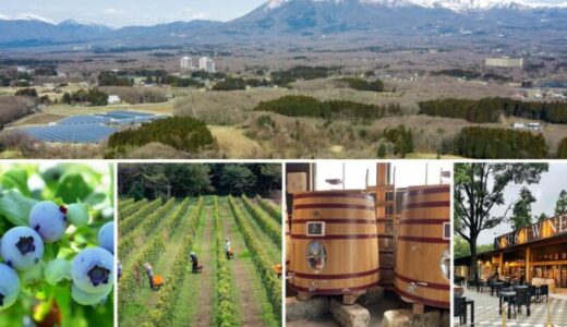Nasu 661 WINE HILLS「ワイン＝ブドウ」を超えて 那須御用邸の麓、ブルーベリーと里山の丘